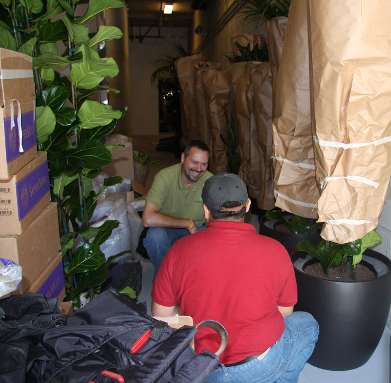 Growing Roots, indoor plant specialists, La Jolla, Long Beach, San Diego, Los Angeles