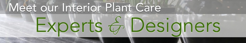 indoor plants experts, Los Angeles, Orange County, Long Beach, San Diego