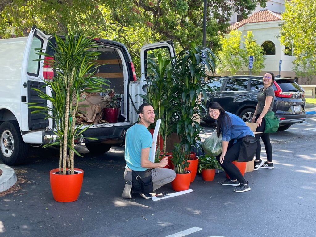 delivery and installation of office plants