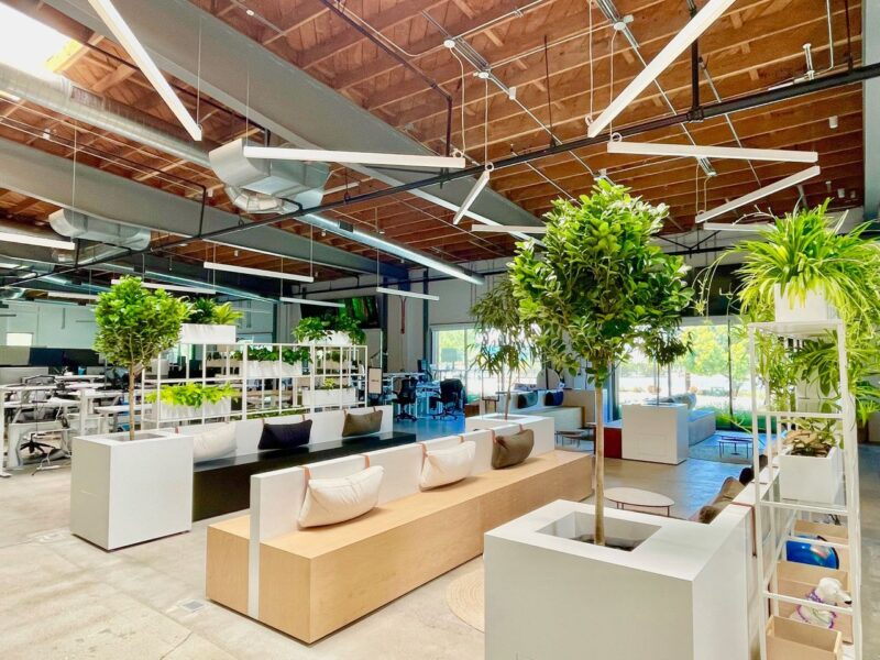 biophilic design in office space