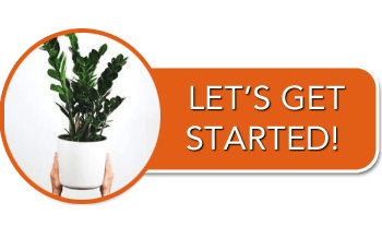 get started with professional indoor plant care services