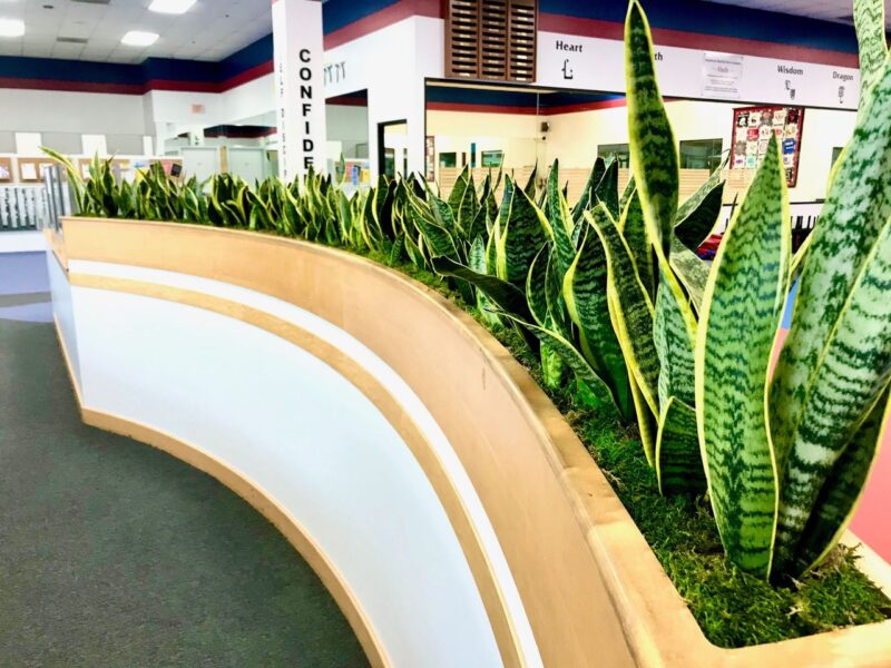biophilic design in commercial spaces