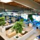 park-like plant arrangement in office space