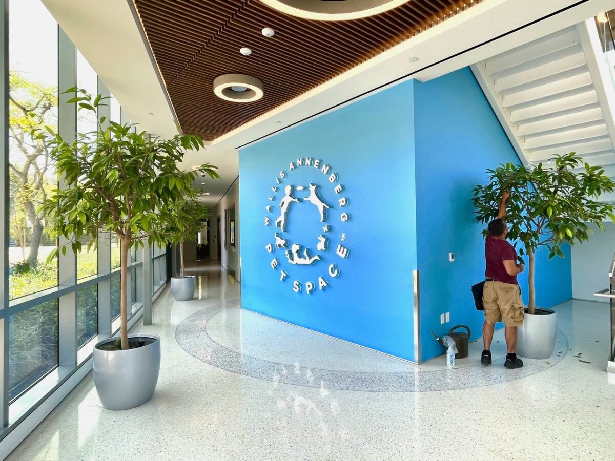 pet-safe biophilic design