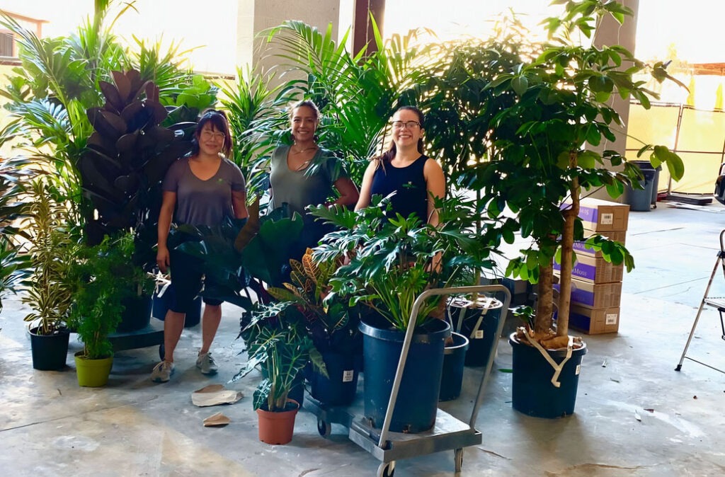 interior plant care service, Growing Roots, Long Beach, CA