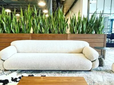 Biophilic design - using plants as a room divider