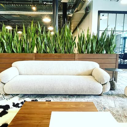 indoor plant selection