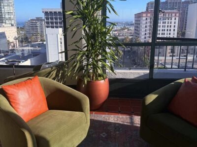professional plant care services