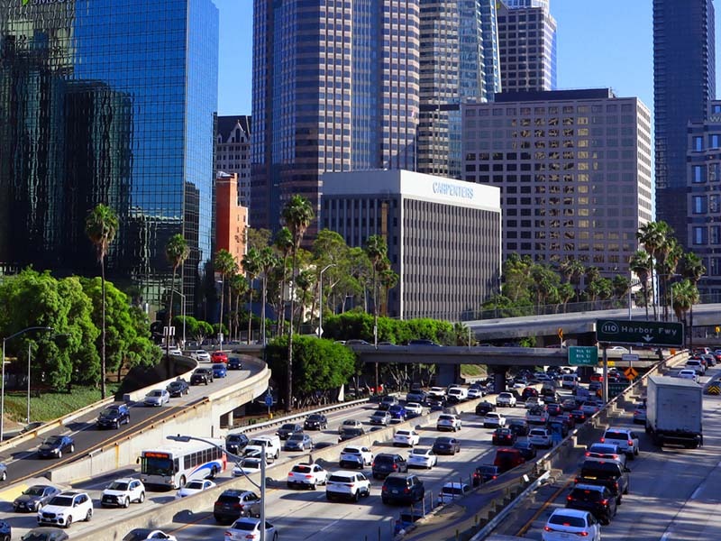 transforming urban spaces with indoor plants