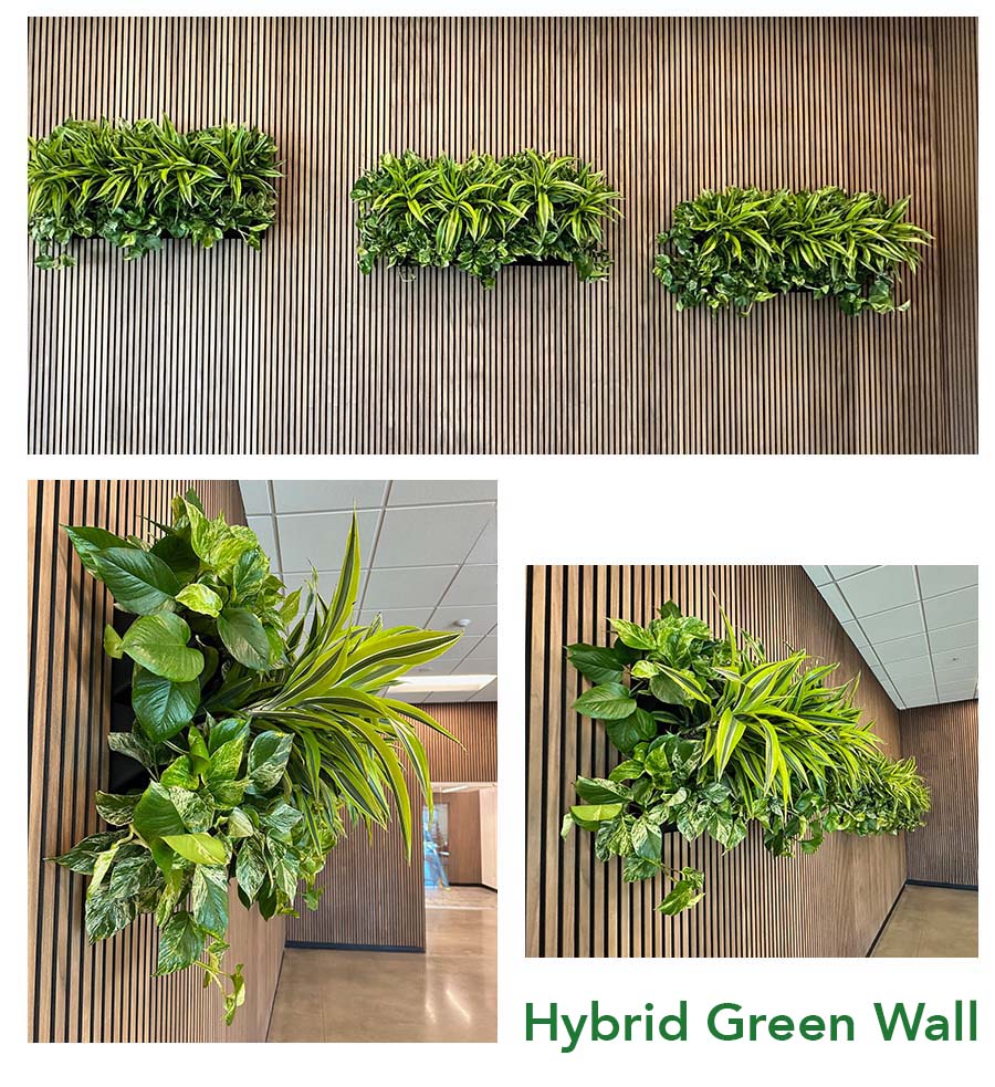 Hybrid Green Wall
