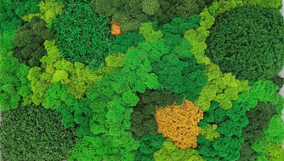 sustainable moss walls