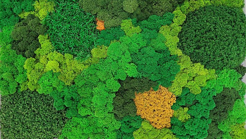 sustainable moss walls