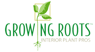 Growing Roots: Indoor Plant Care Professionals