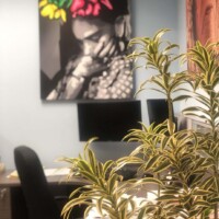 Song of India artwork with complimenting indoor plants