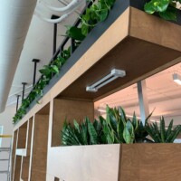 Biophilic design in commercial spaces