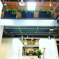 indoor plant rentals