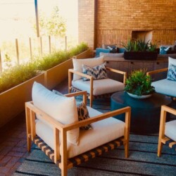 commercial plant care services